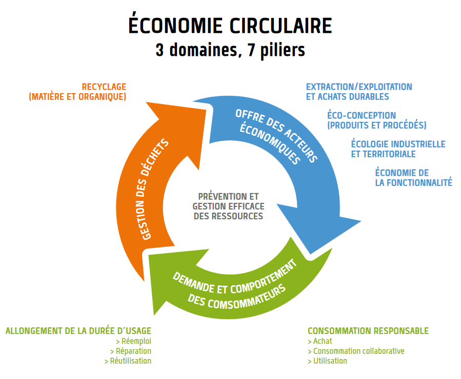 Conseil énergie et environnement : la stratégie payante pour votre entreprise !